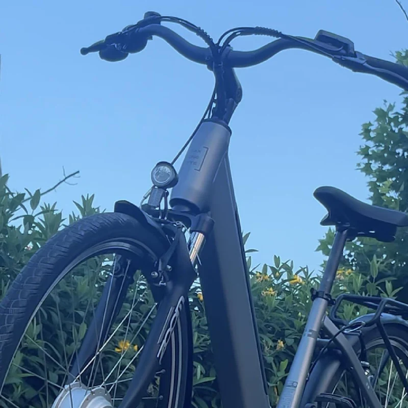 SAXONETTE E-Bike Comfort Plus 5.0 (Gebraucht)