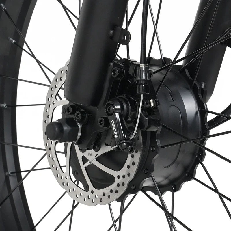 RICH BIT C01 48V 750W Off-Road Electric Bike, Dual Motors Mountain E-bike with 48V 20Ah Lithium Battery Adult Electric Mountain Bicycle