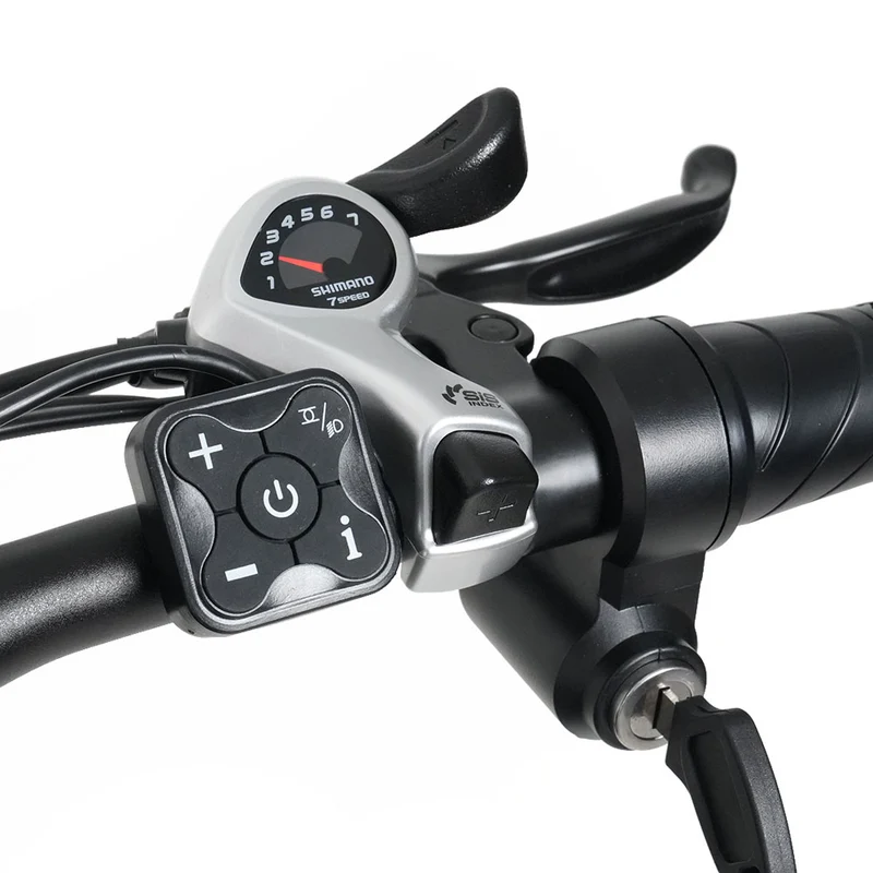 RICH BIT C01 48V 750W Off-Road Electric Bike, Dual Motors Mountain E-bike with 48V 20Ah Lithium Battery Adult Electric Mountain Bicycle