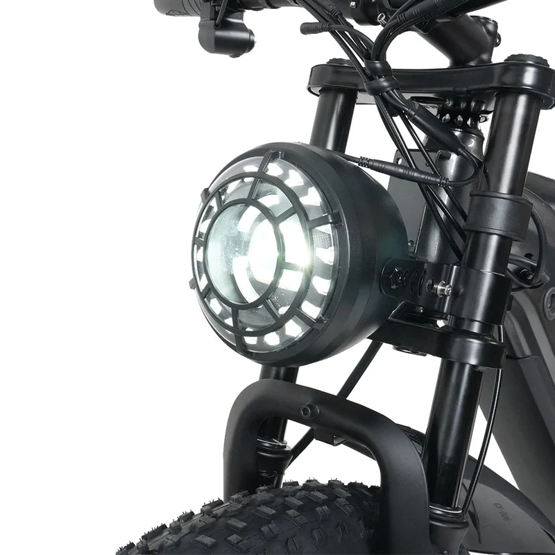 RICH BIT C01 48V 750W Off-Road Electric Bike, Dual Motors Mountain E-bike with 48V 20Ah Lithium Battery Adult Electric Mountain Bicycle