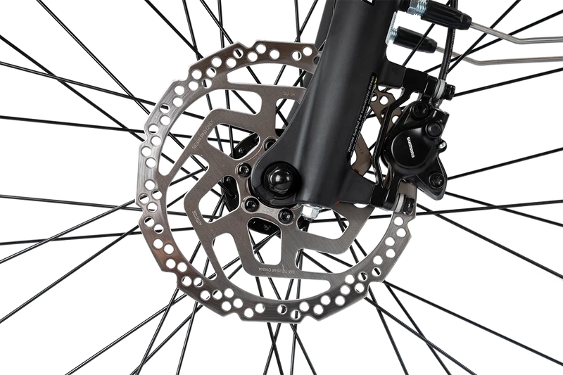 REX Commuter