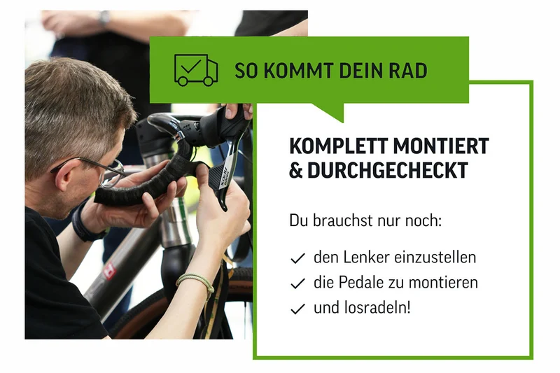 Prophete City E-Bike 28"