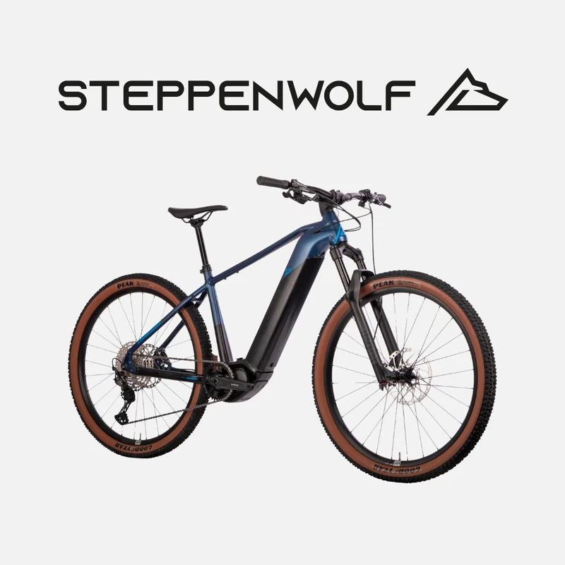 STEPPENWOLF E-BIKE TAIGA 8.0
