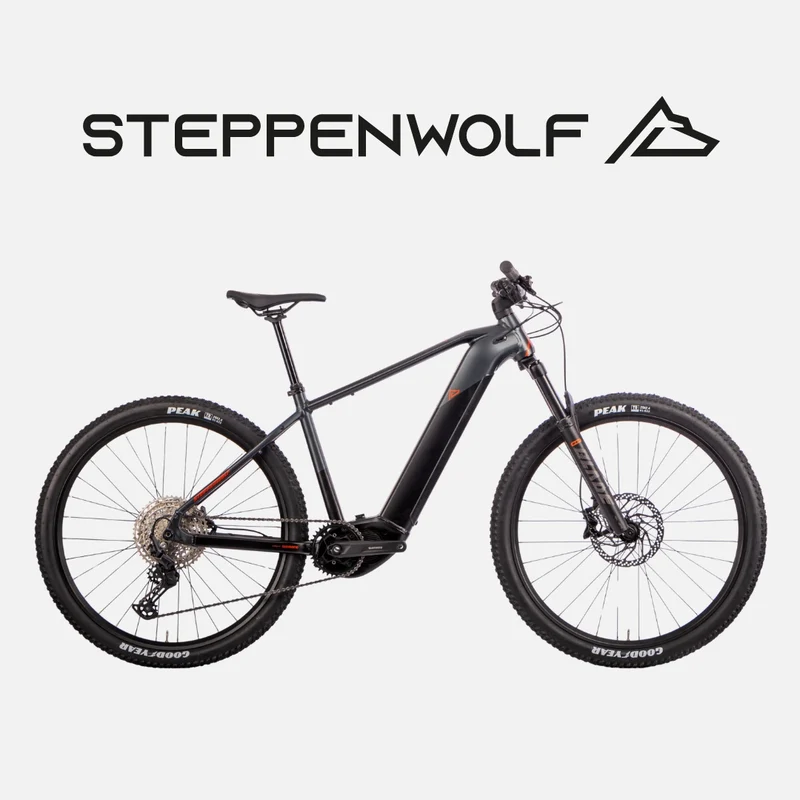 STEPPENWOLF E-BIKE TAIGA 6.0
