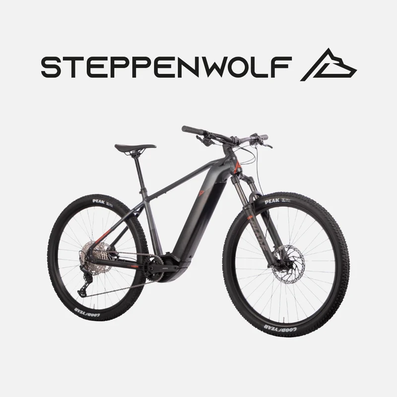 STEPPENWOLF E-BIKE TAIGA 6.0