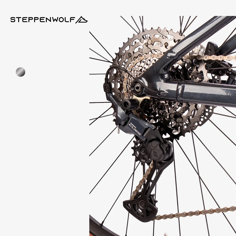 STEPPENWOLF E-BIKE TAIGA 6.0