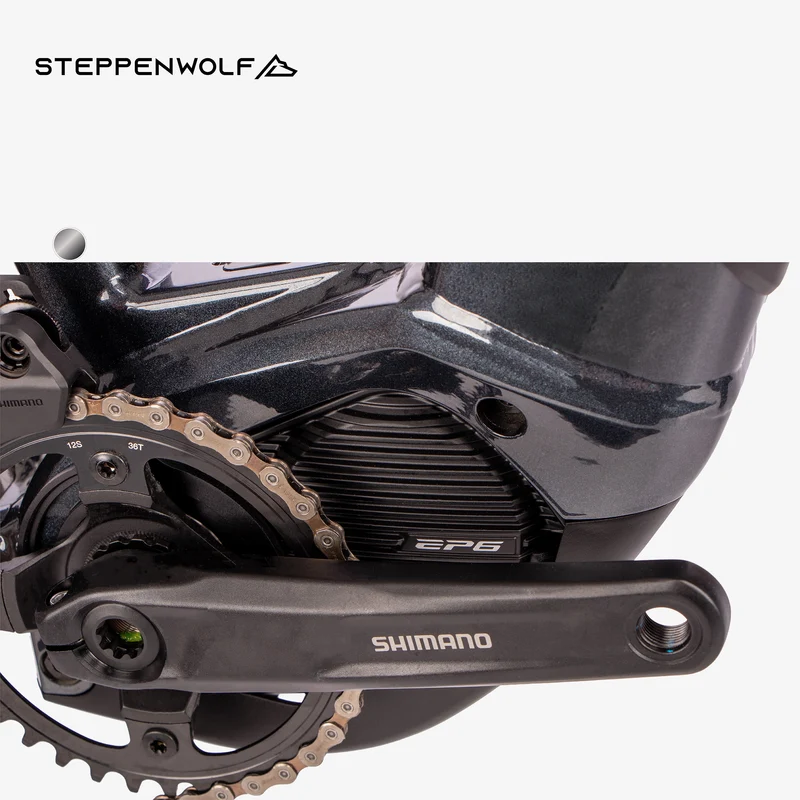 STEPPENWOLF E-BIKE TAIGA 6.0