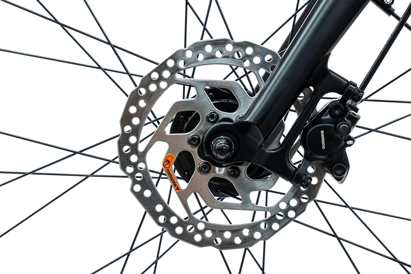 REX Commuter S + Rabeneick TS5 Lite - Combo sale