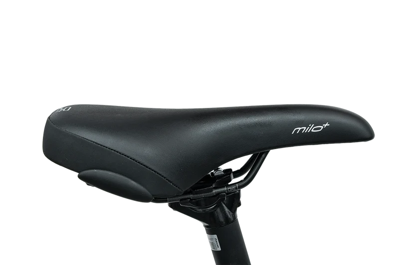REX Commuter S + Rabeneick TS5 Lite - Combo sale