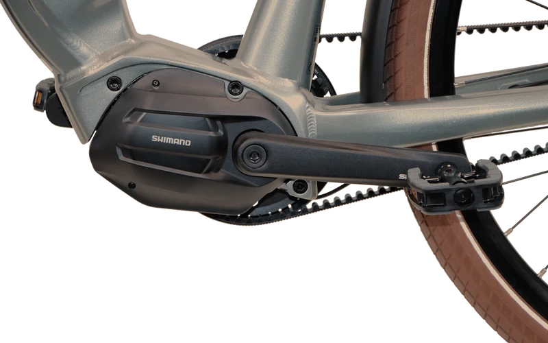 REX Commuter S + Rabeneick TS5 Lite - Combo sale