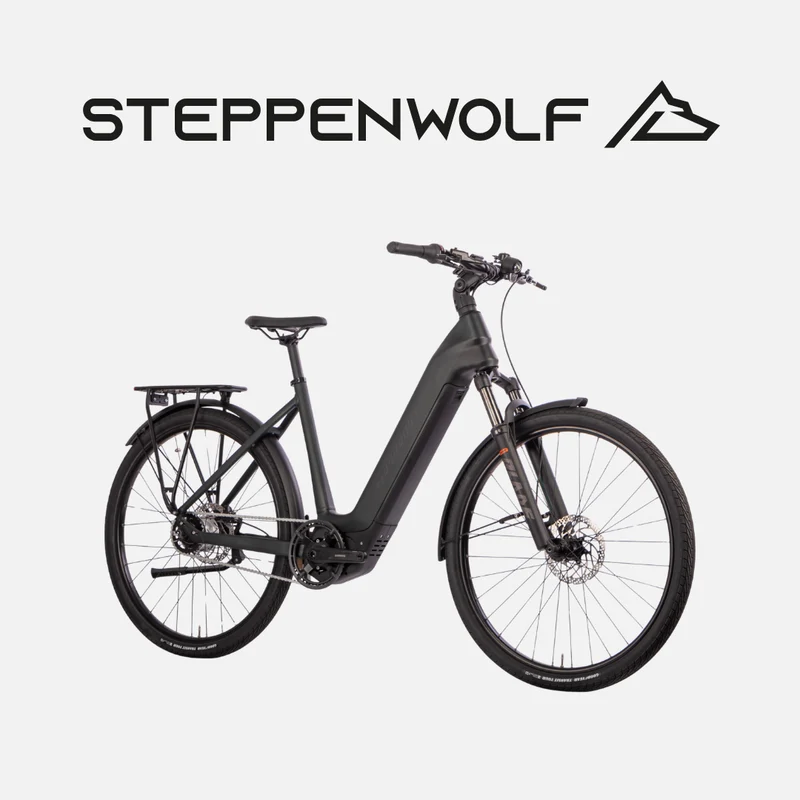 STEPPENWOLF E-BIKE TALIS WAVE 6.5