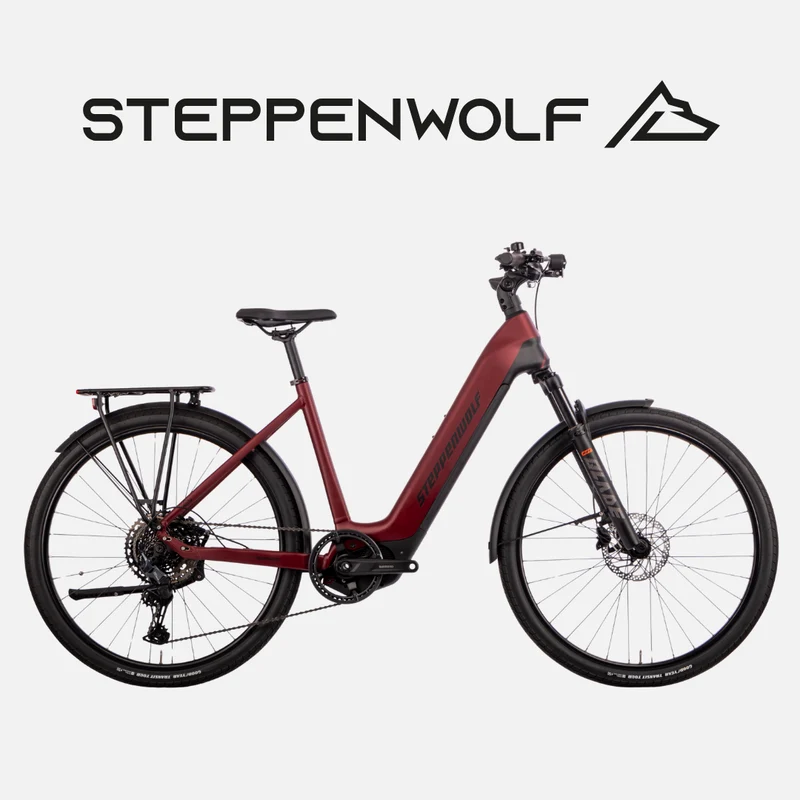 STEPPENWOLF E-BIKE TALIS WAVE 6.1