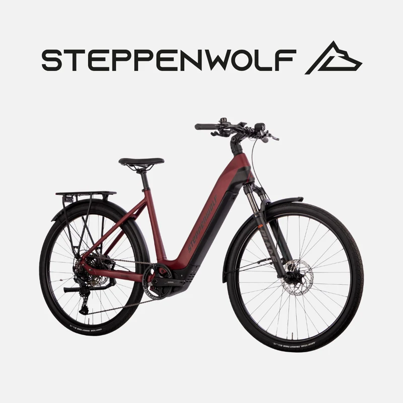 STEPPENWOLF E-BIKE TALIS WAVE 6.1
