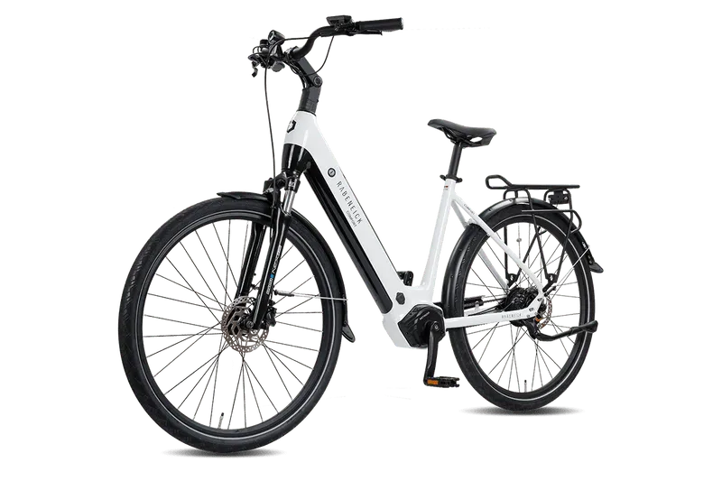 Rabeneick Comfort E-SUV 28 Zoll