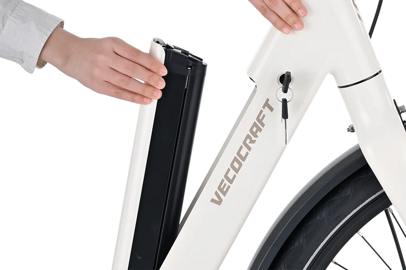 Vecocraft LUNA