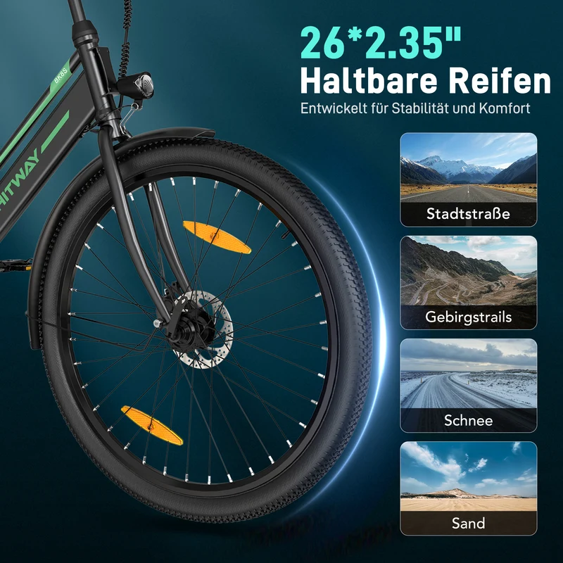 BK8S Elektrofahrrad