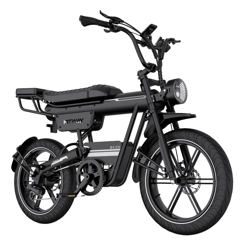 BK30 Elektrofahrrad