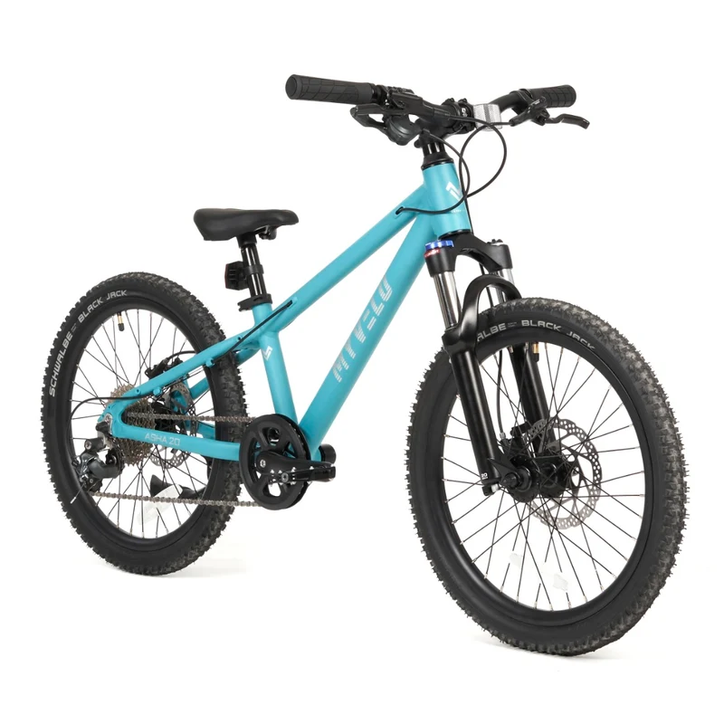 Asha 20" Kinder MTB