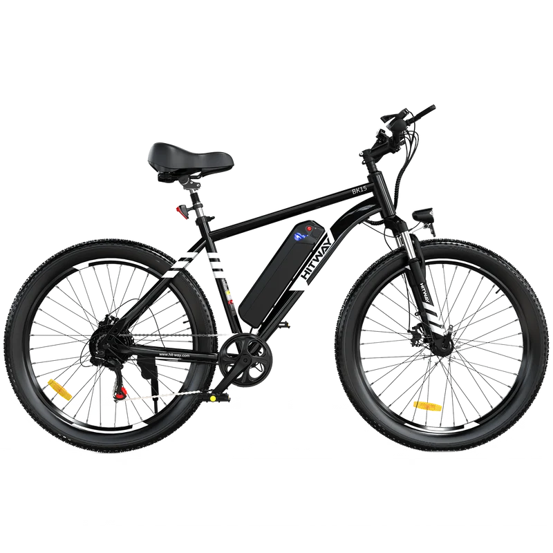 BK15 3.0 Elektrofahrrad mit fetten Reifen