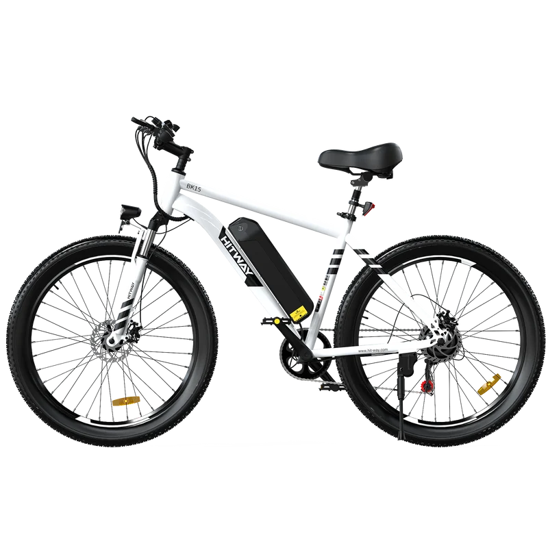 BK15 3.0 Elektrofahrrad mit fetten Reifen