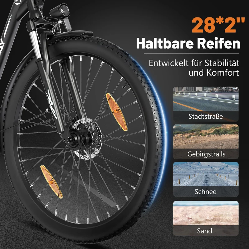 BK31 Elektrofahrrad