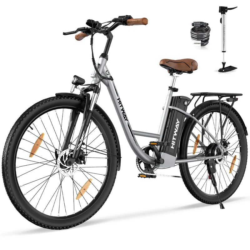 BK31 Elektrofahrrad