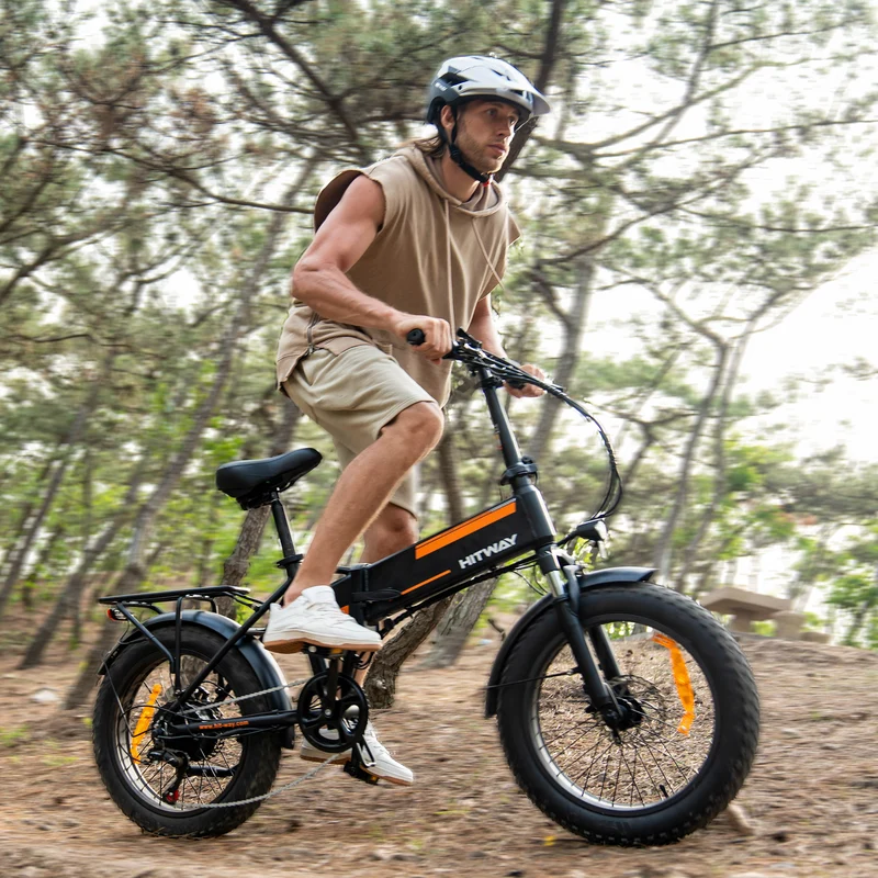 BK10S faltbares Elektrofahrrad - Schwarz Grün