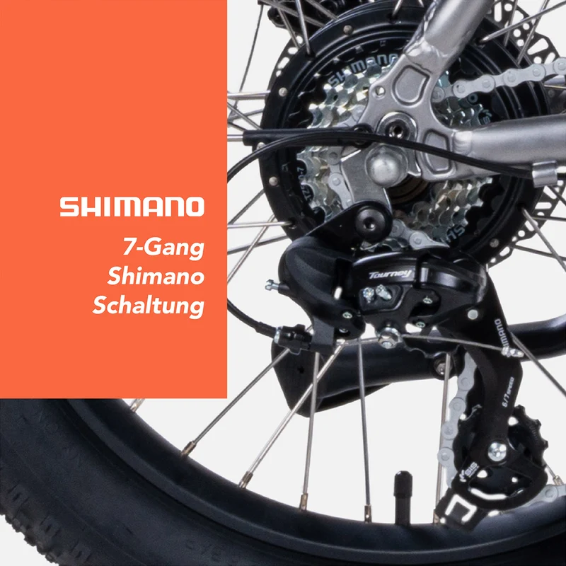SAXXX Klapprad E-Bike Metron