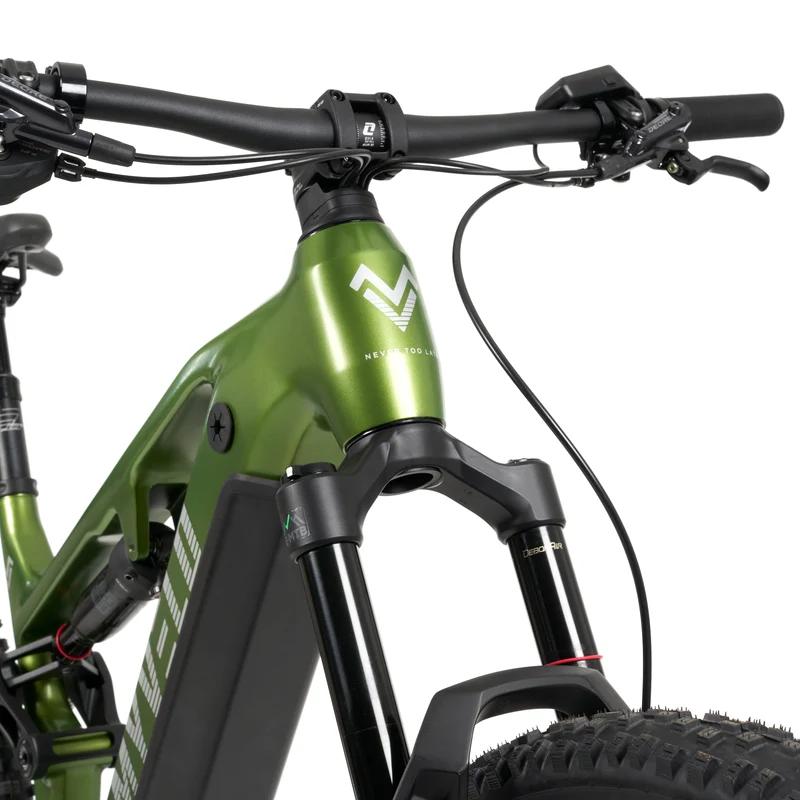 Stelvio E-MTB Fully