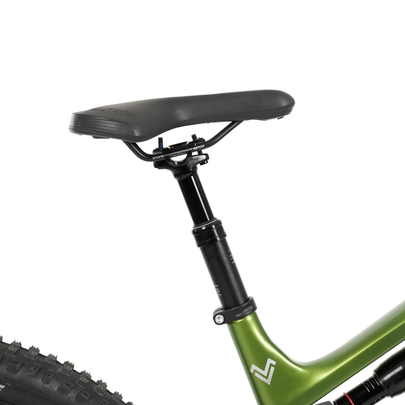 Stelvio E-MTB Fully