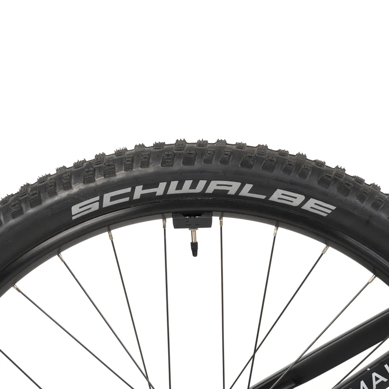 Himalaya E-MTB