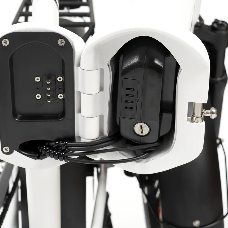 E-Bike Akku für MYVELO Molinar