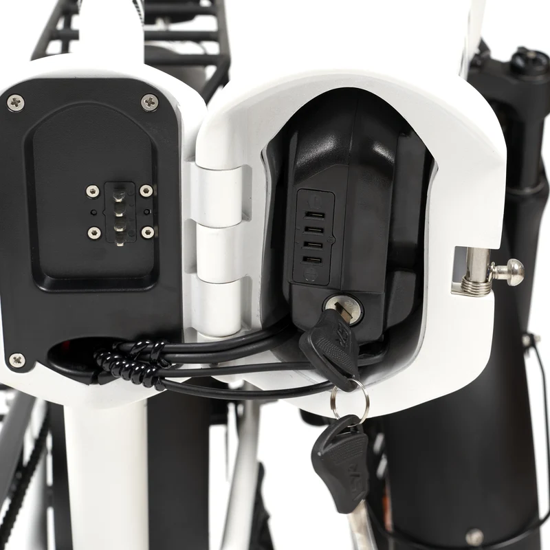 E-Bike Akku für MYVELO Molinar