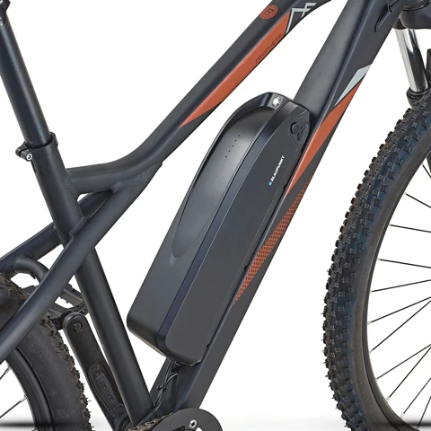 PROPHETE GRAVELER E-MTB 29"