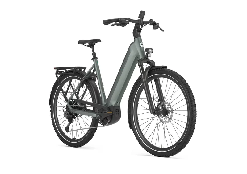 Gazelle Ultimate T11 800 twilight green EE 2026