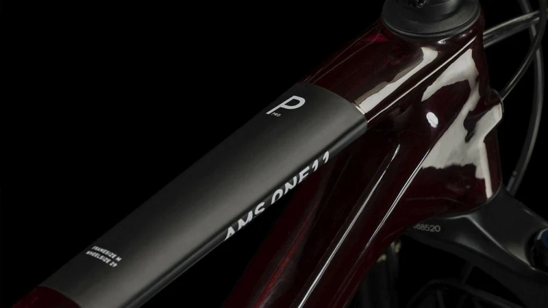 Cube AMS ONE11 C:68X Pro liquidred´n´carbon