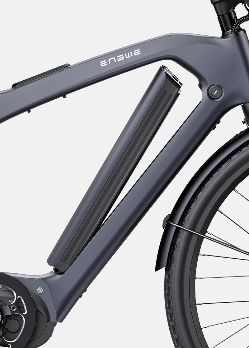 ENGWE N1 Pro