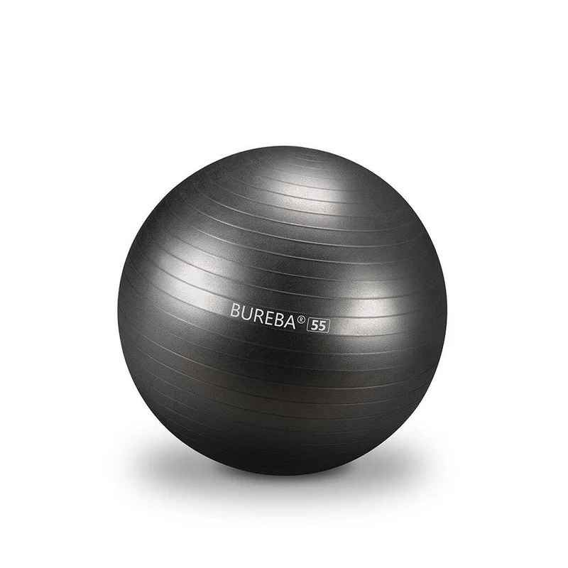 Gymnastikball Professional - 55/ 65/ 75 cm