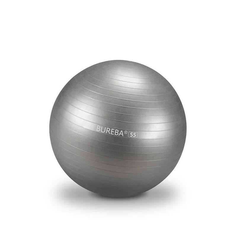Gymnastikball Professional - 55/ 65/ 75 cm
