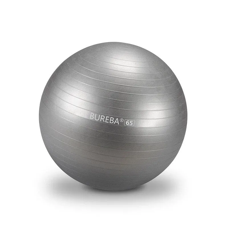 Gymnastikball Professional - 55/ 65/ 75 cm