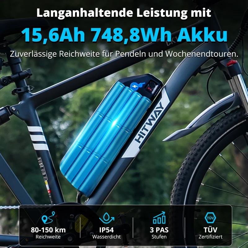 BK15PL 29 Zoll Elektrofahrrad