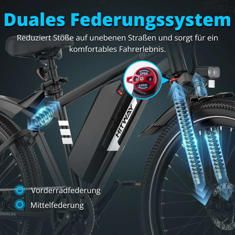 BK15PL 29 Zoll Elektrofahrrad