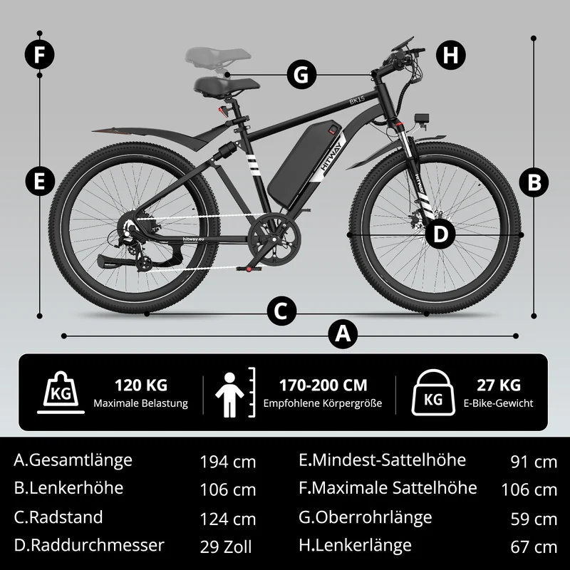 BK15PL 29 Zoll Elektrofahrrad