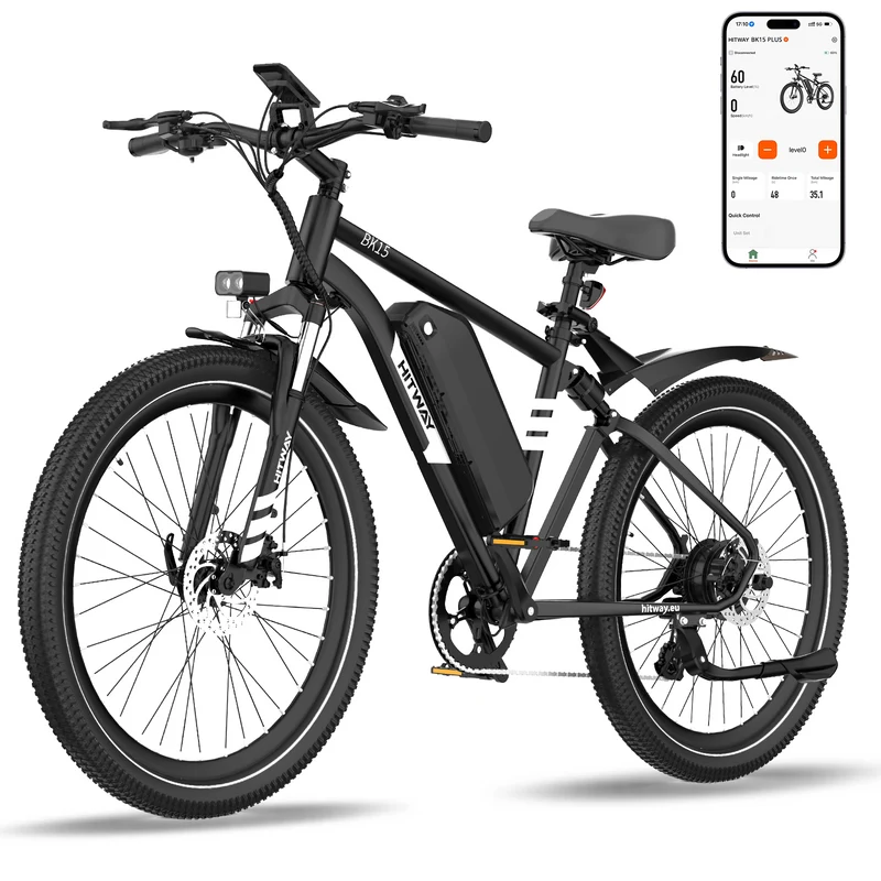 BK15PL 29 Zoll Elektrofahrrad