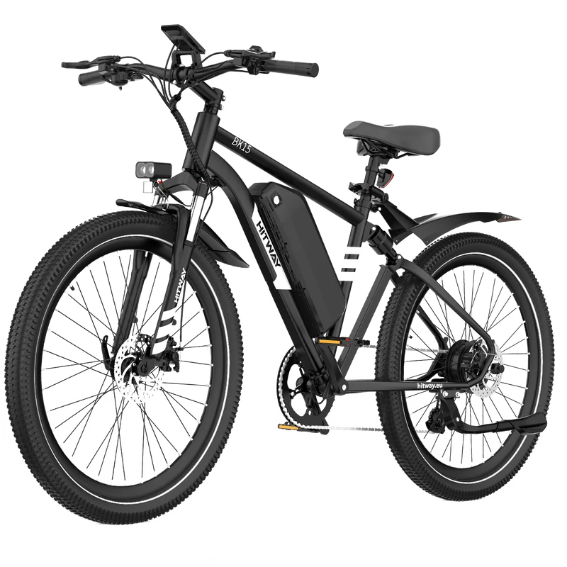 BK15PL 29 Zoll Elektrofahrrad