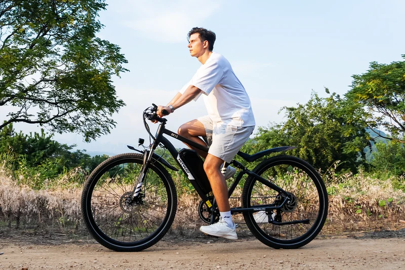 BK15PL 29 Zoll Elektrofahrrad