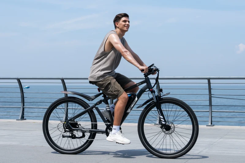BK15PL 29 Zoll Elektrofahrrad
