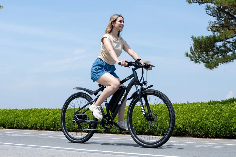 BK15PL 29 Zoll Elektrofahrrad