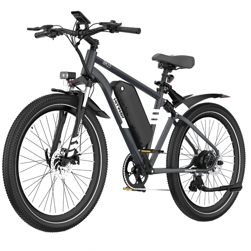 BK15PL 29 Zoll Elektrofahrrad