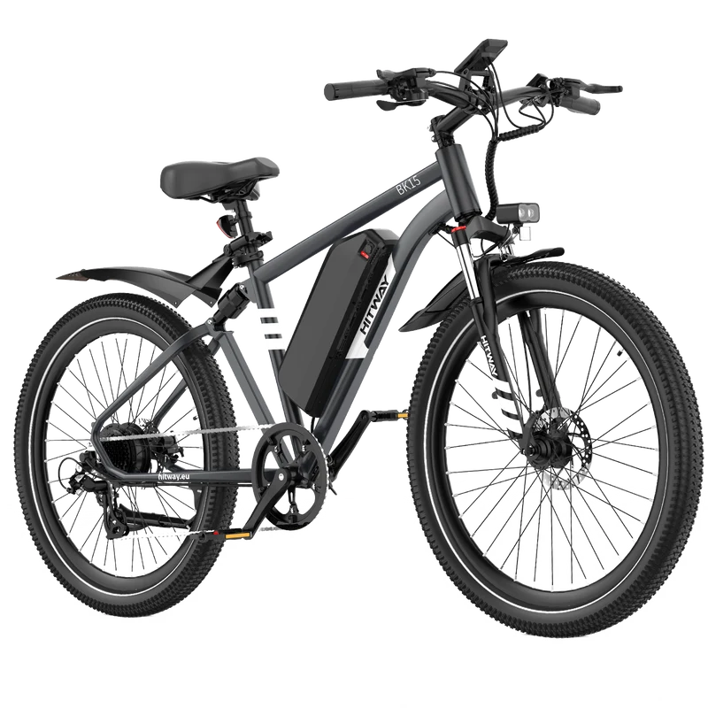 BK15PL 29 Zoll Elektrofahrrad